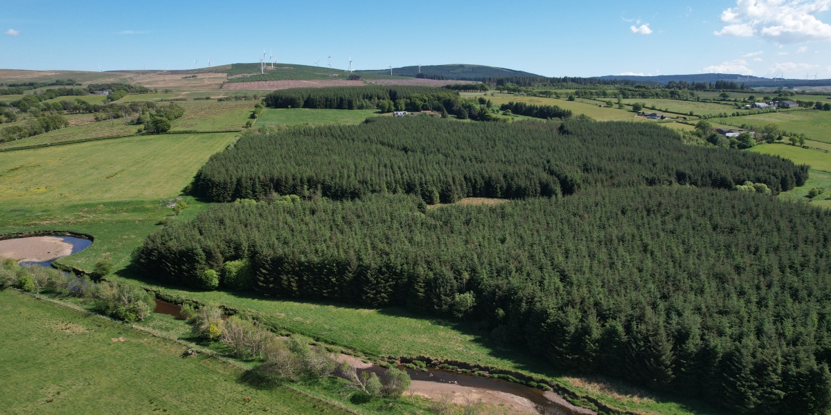 Syde of Glengavel, ML10 6SW - Forests, Woodland and Land For Sale in ...