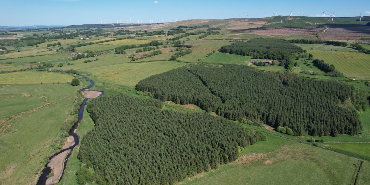 Syde of Glengavel, ML10 6SW - Forests, Woodland and Land For Sale in ...
