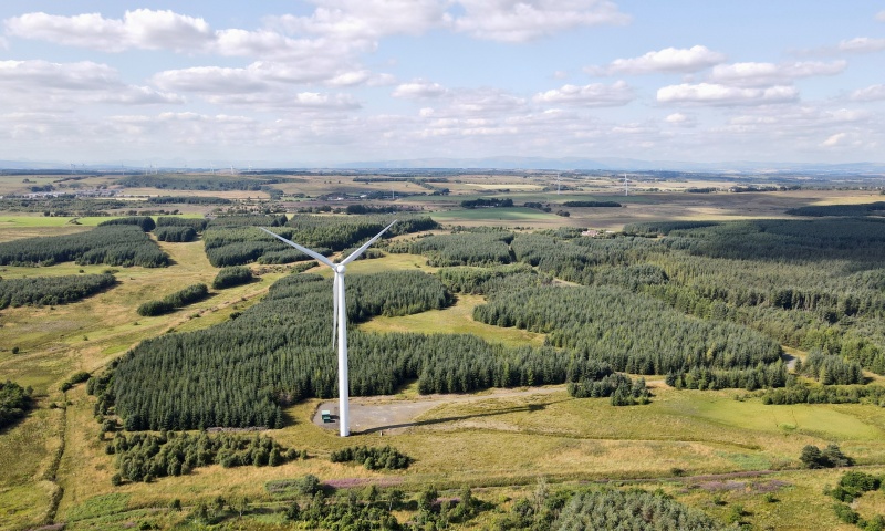 Nina Forest & Wind Energy Portfolio