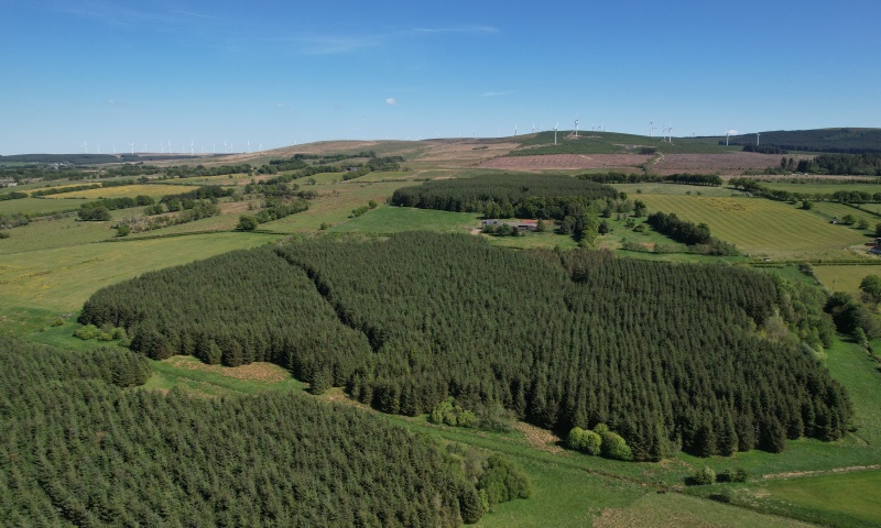 Syde of Glengavel, ML10 6SW - Forests, Woodland and Land For Sale in ...