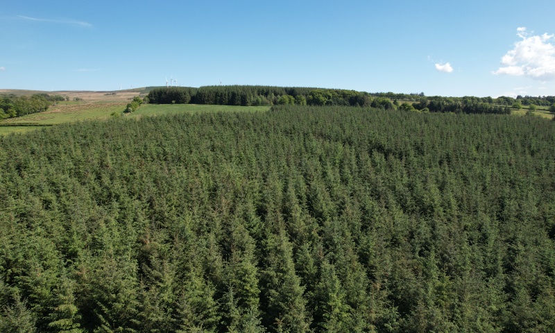 Syde of Glengavel, ML10 6SW - Forests, Woodland and Land For Sale in ...