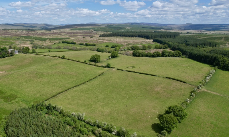 Barnglieshead 