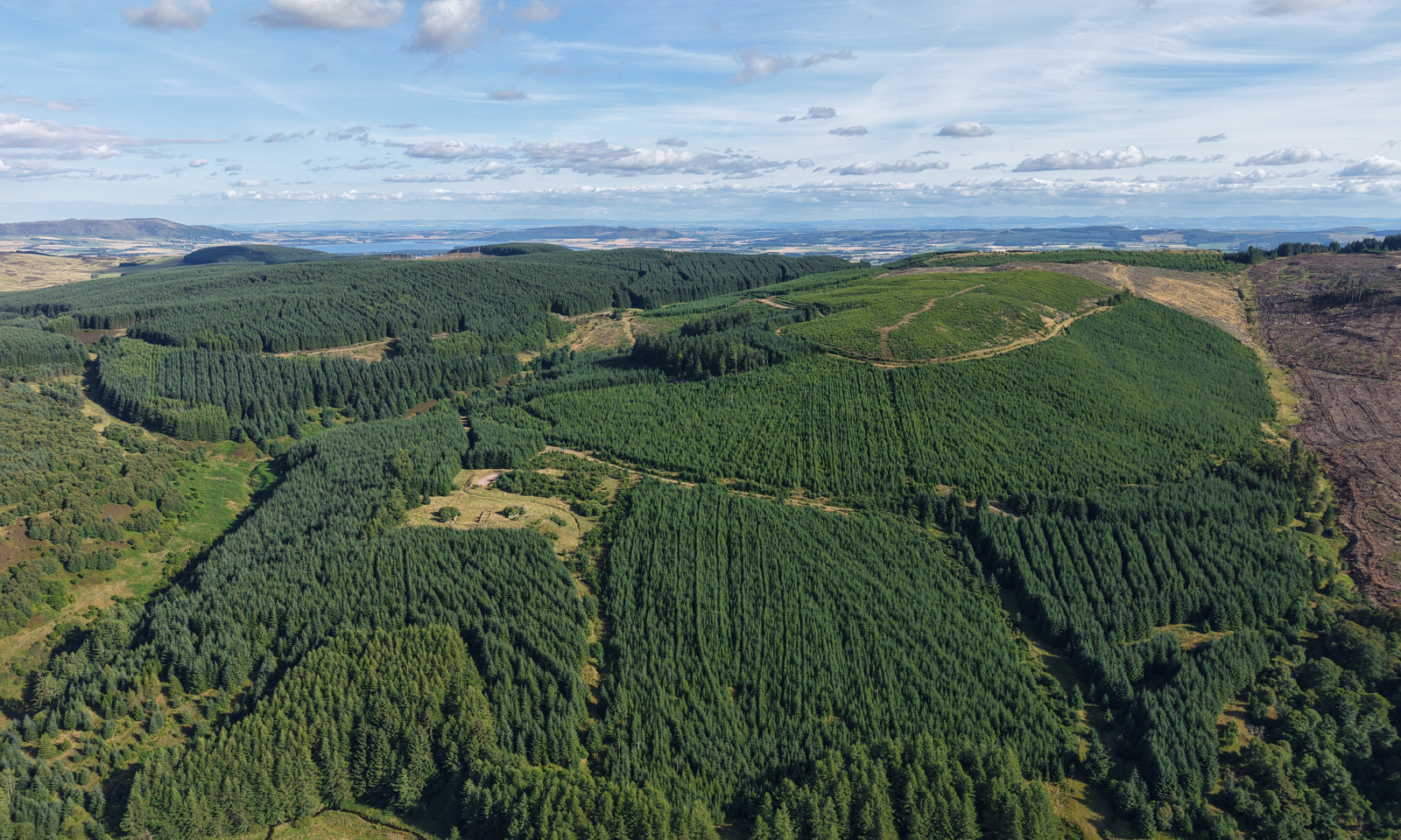 Rashiehill & Northhill Forest 