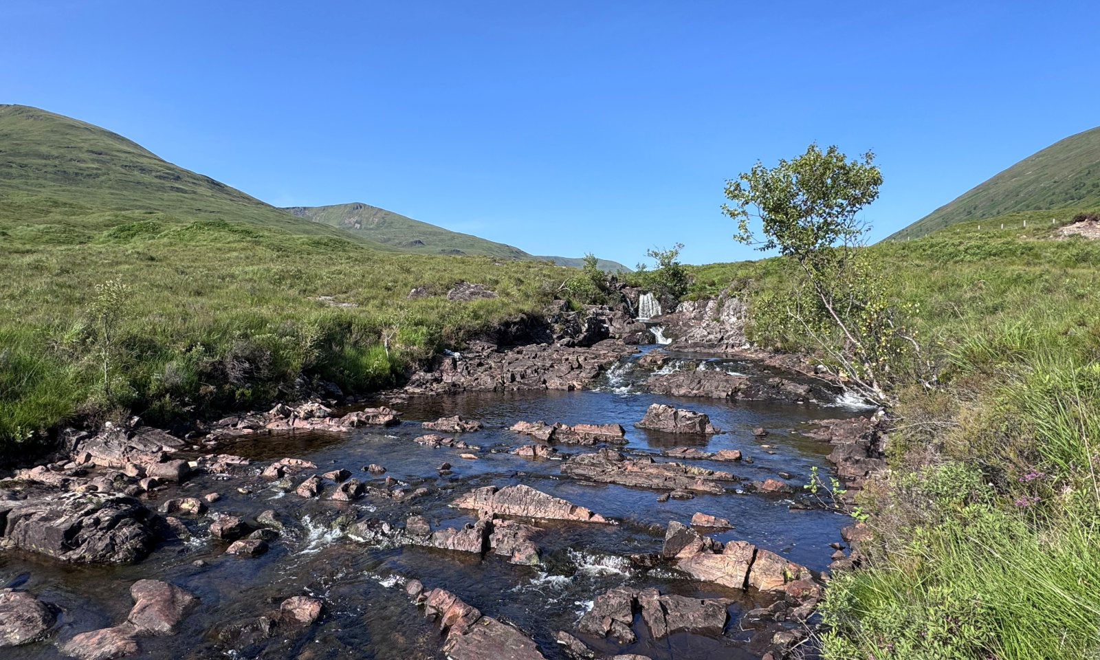 Natural Capital Investment Opportunity