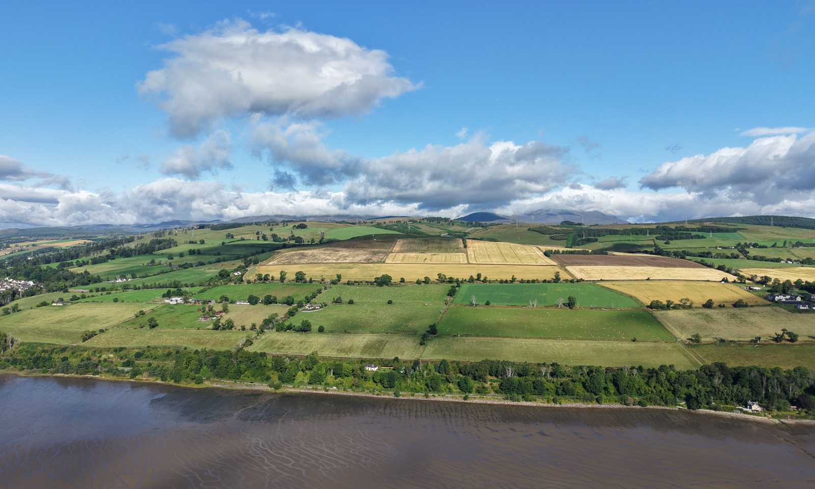 Woodlands & Mountrich Farms