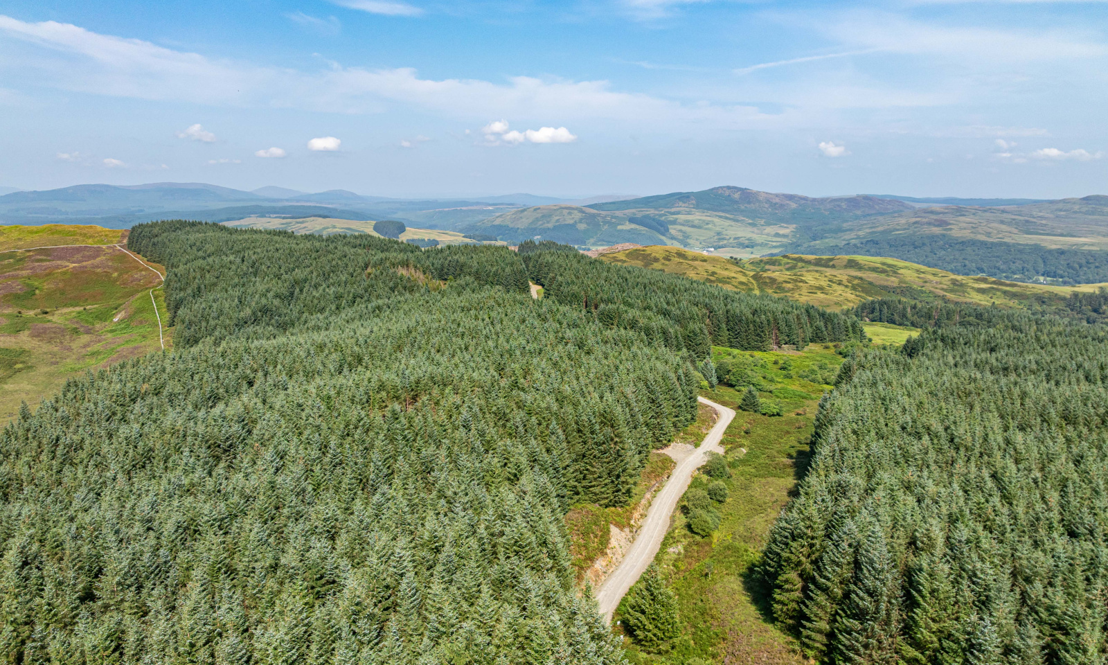 Rusko Hill Forest