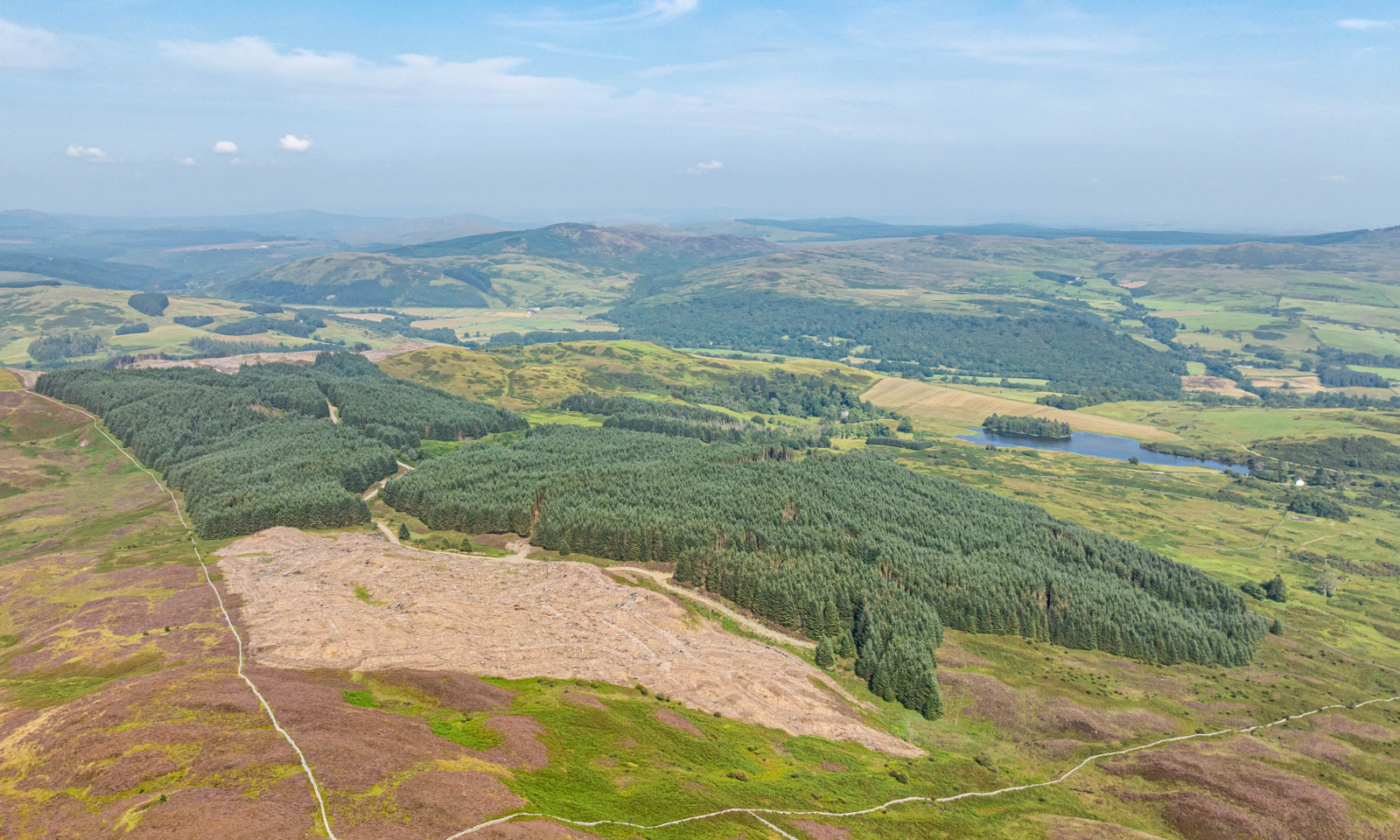 Rusko Hill Forest